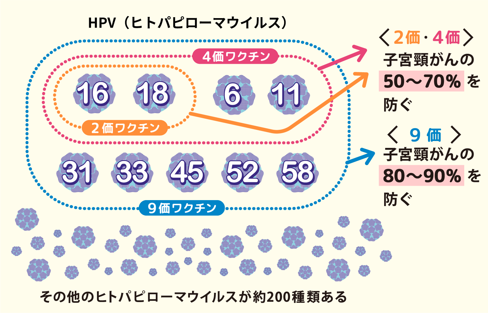 HPV（ヒトパピローマウイルス）