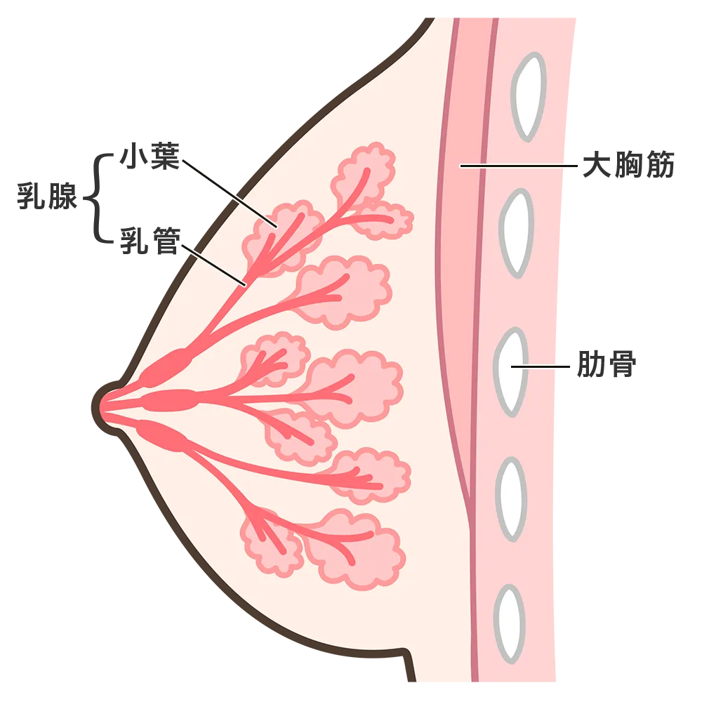 がんができる部位