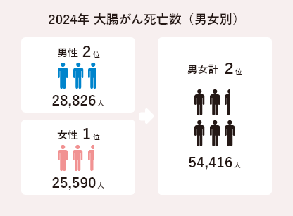 2024年 大腸がん死亡数（男女別）