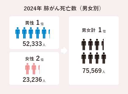 2024年 肺がん死亡数（男女別）