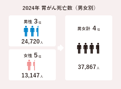 2024年 胃がん死亡数（男女別）