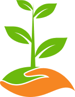 この助成事業の特徴